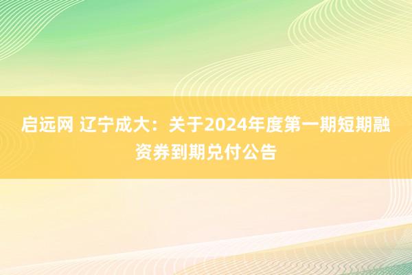 启远网 辽宁成大：关于2024年度第一期短期融资券到期兑付公告