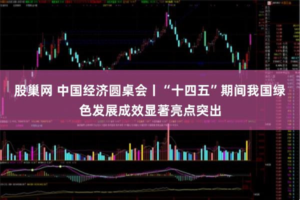 股巢网 中国经济圆桌会丨“十四五”期间我国绿色发展成效显著亮点突出